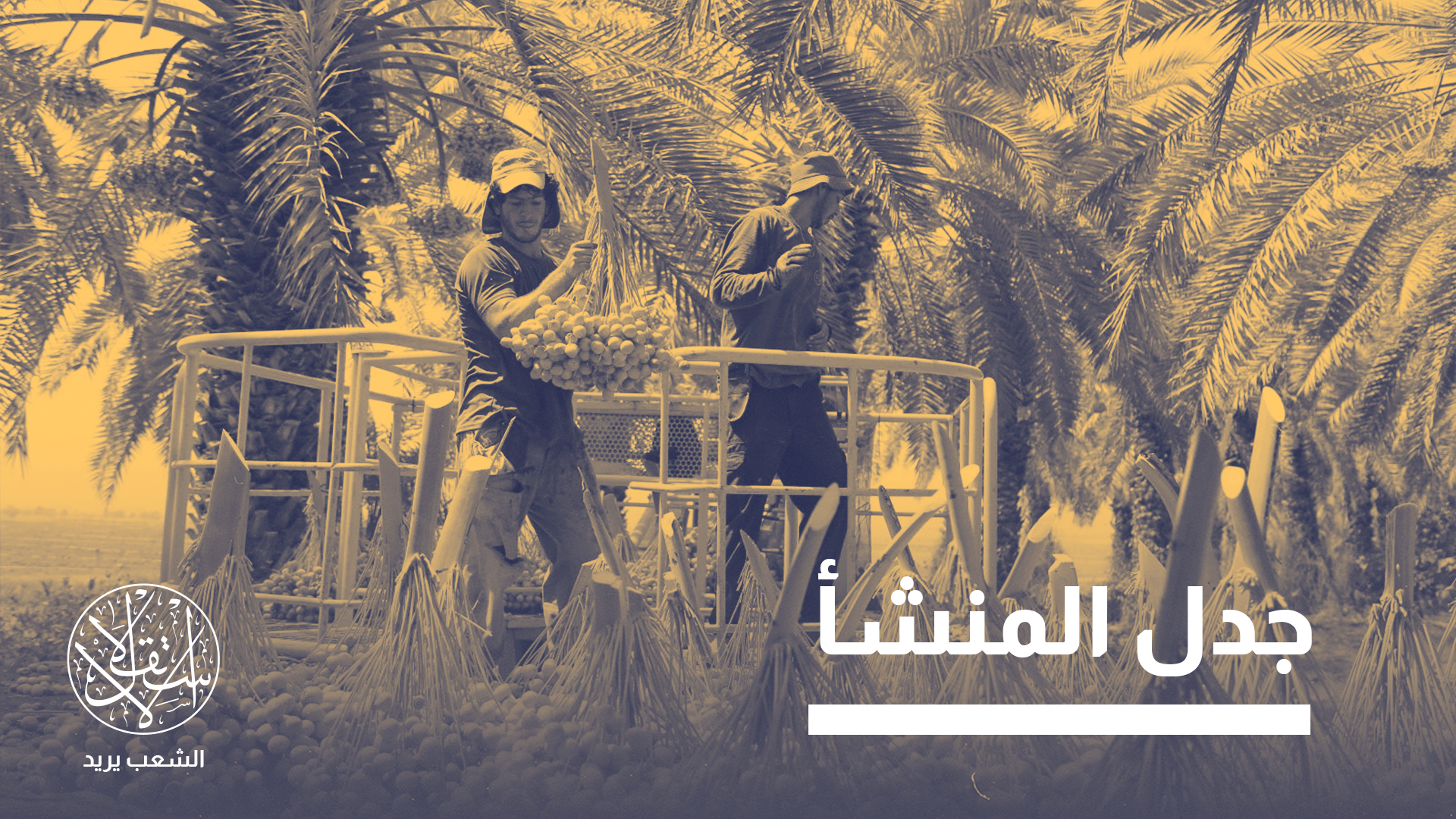 "شراء التمور الإسرائيلية يُعد مساهمة في تمويل المستوطنات"