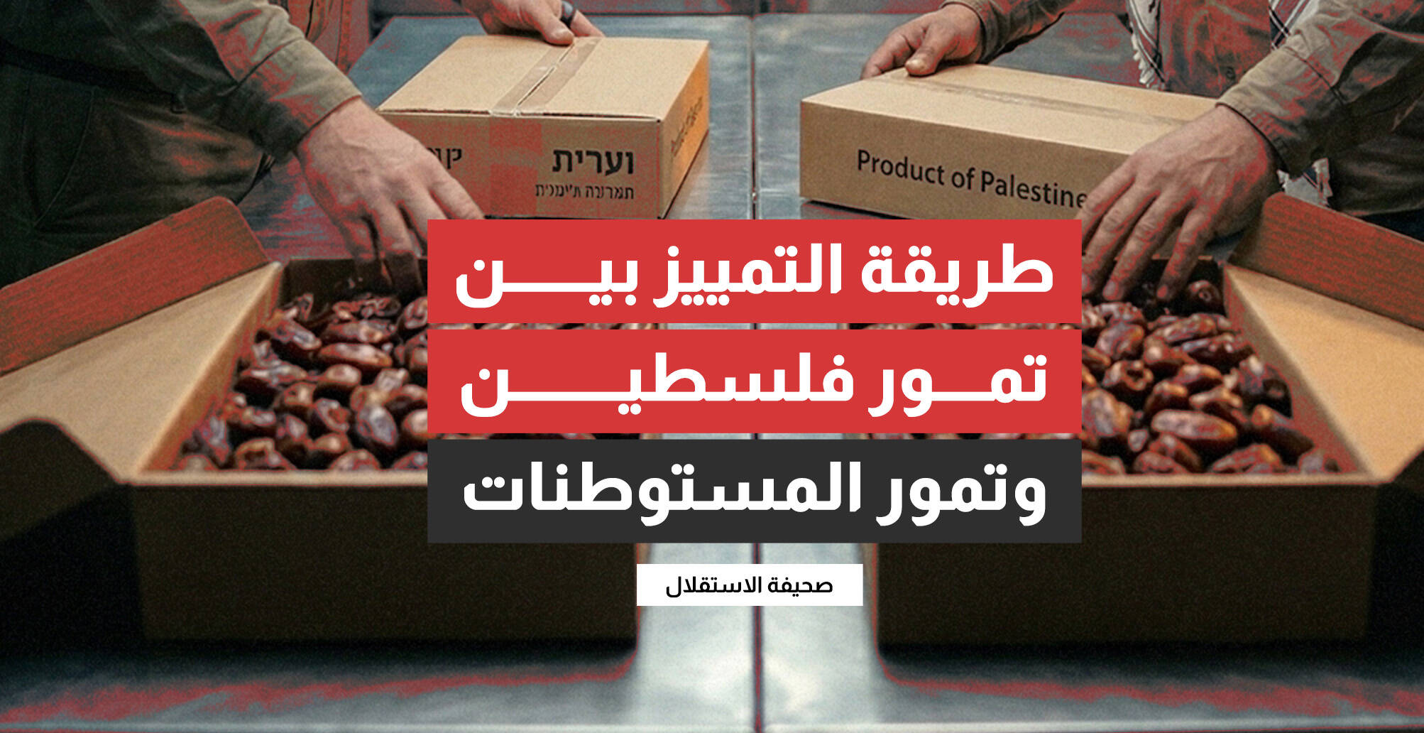 طريقة التمييز بين تمور فلسطين وتمور المستوطنات (إنفوجراف)