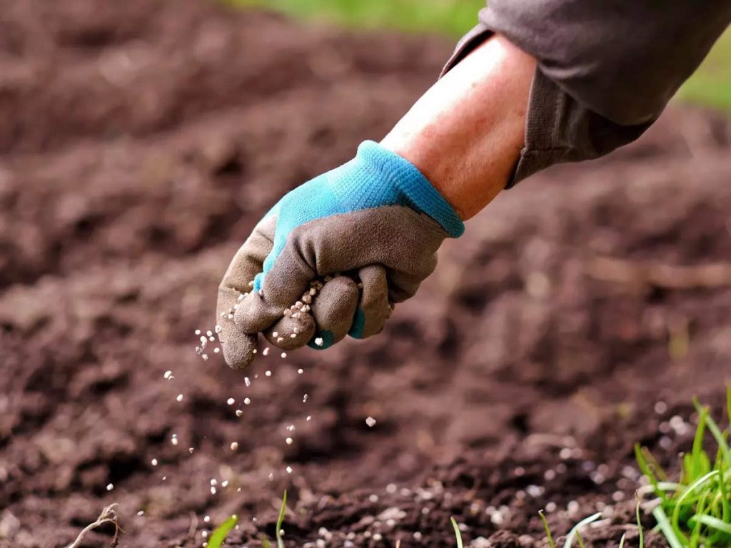 1450974619.jpg (1024&times;768)