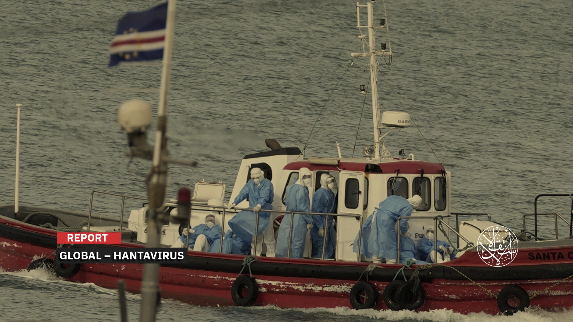 “The WHO director announced that a total of 11 cases have been reported in the outbreak.”