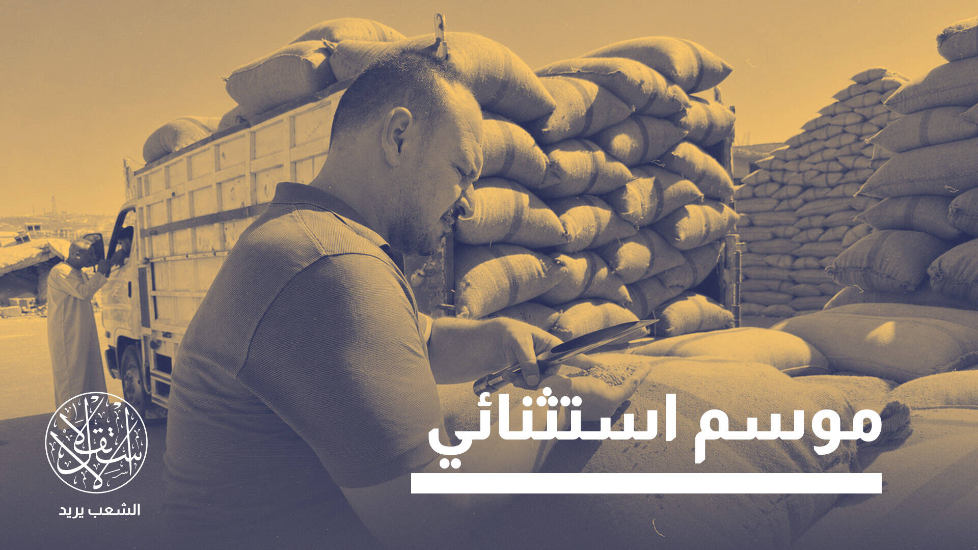 قمح سوريا.. هل يتحول محصول 2026 إلى ورقة اقتصادية رابحة بيد دمشق؟