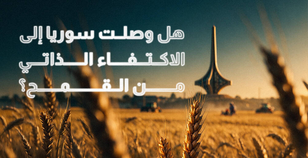 هل وصلت سوريا إلى الاكتفاء الذاتي من القمح؟