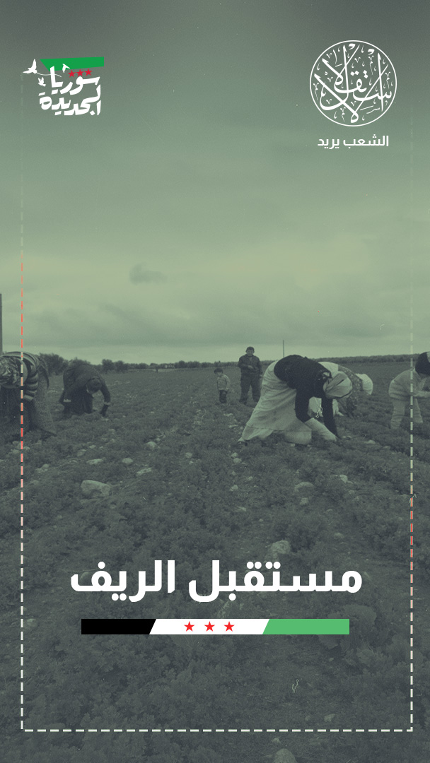 باحث لـ"الاستقلال": وحدة المياه والتمويل والسوق شرط لتعافي الزراعة السورية