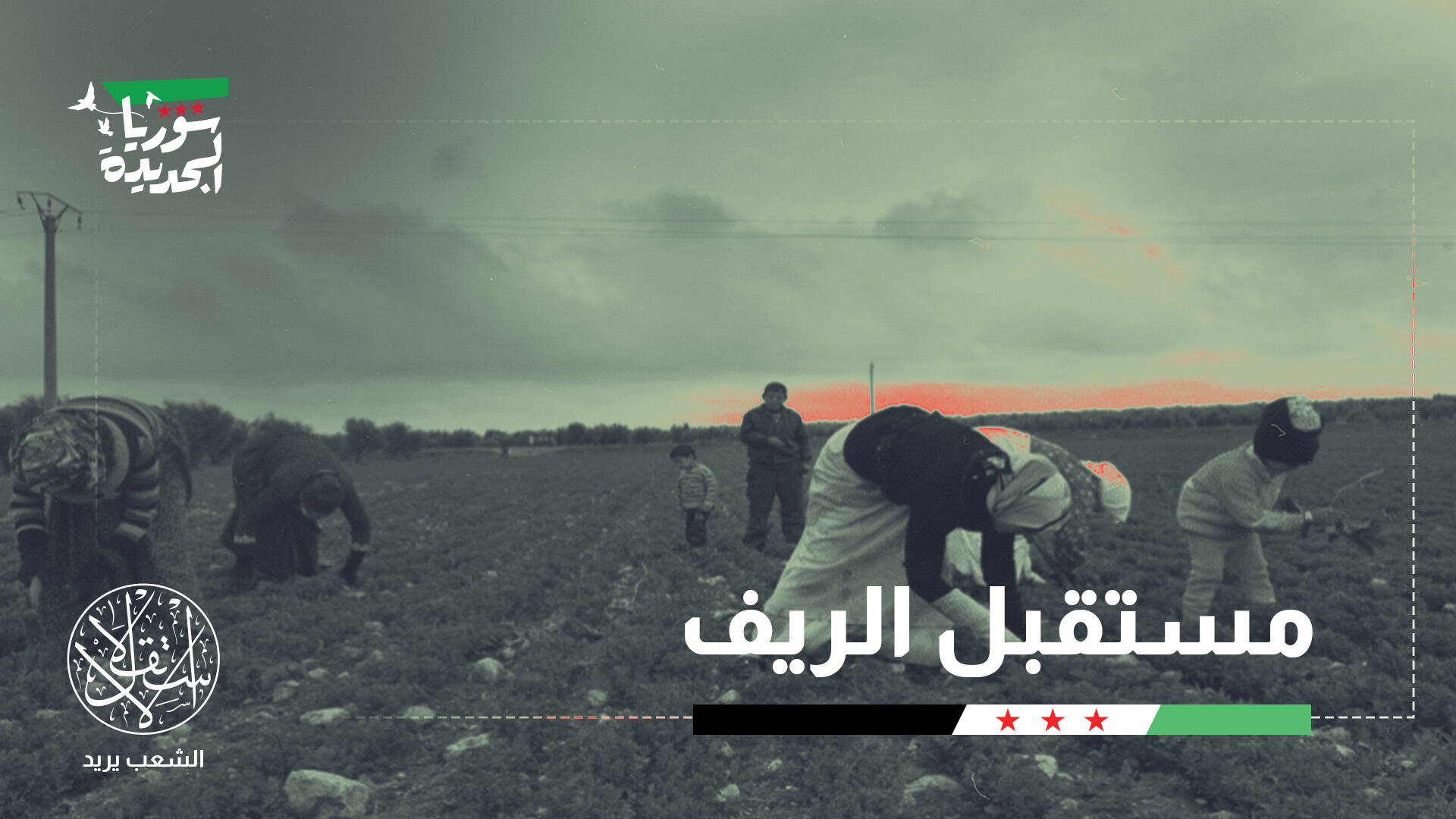 باحث لـ"الاستقلال": وحدة المياه والتمويل والسوق شرط لتعافي الزراعة السورية