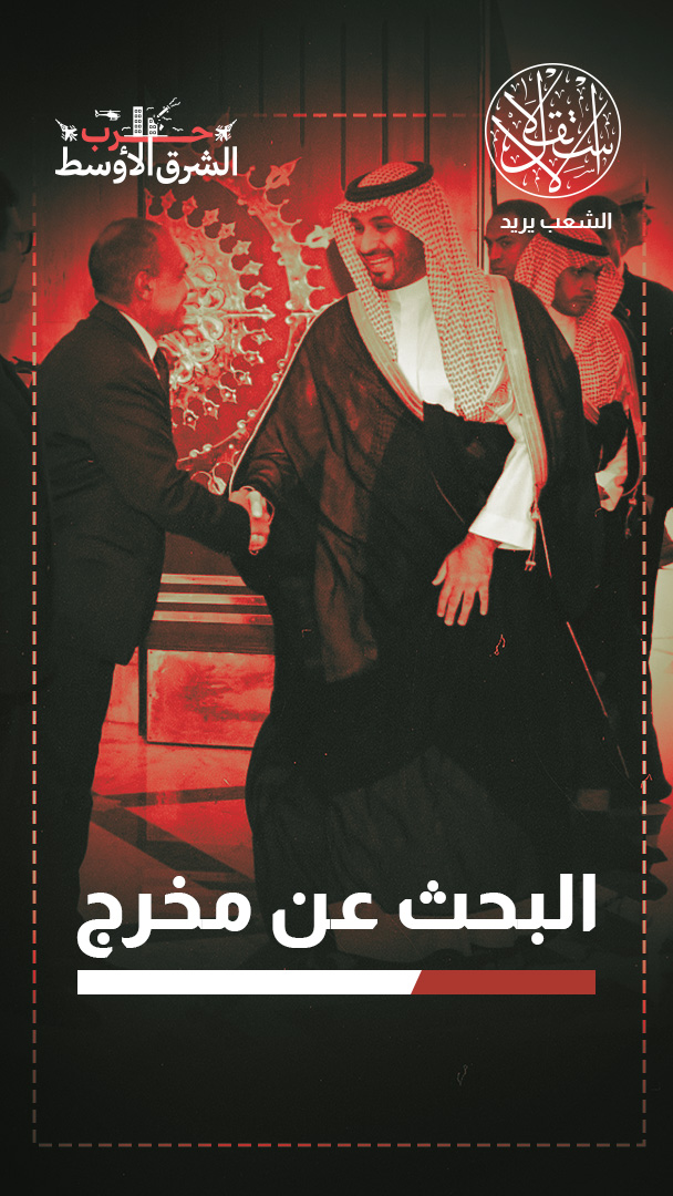 بعد سيطرة الحوثيين على باب المندب.. لماذا زار محمد بن سلمان القاهرة؟