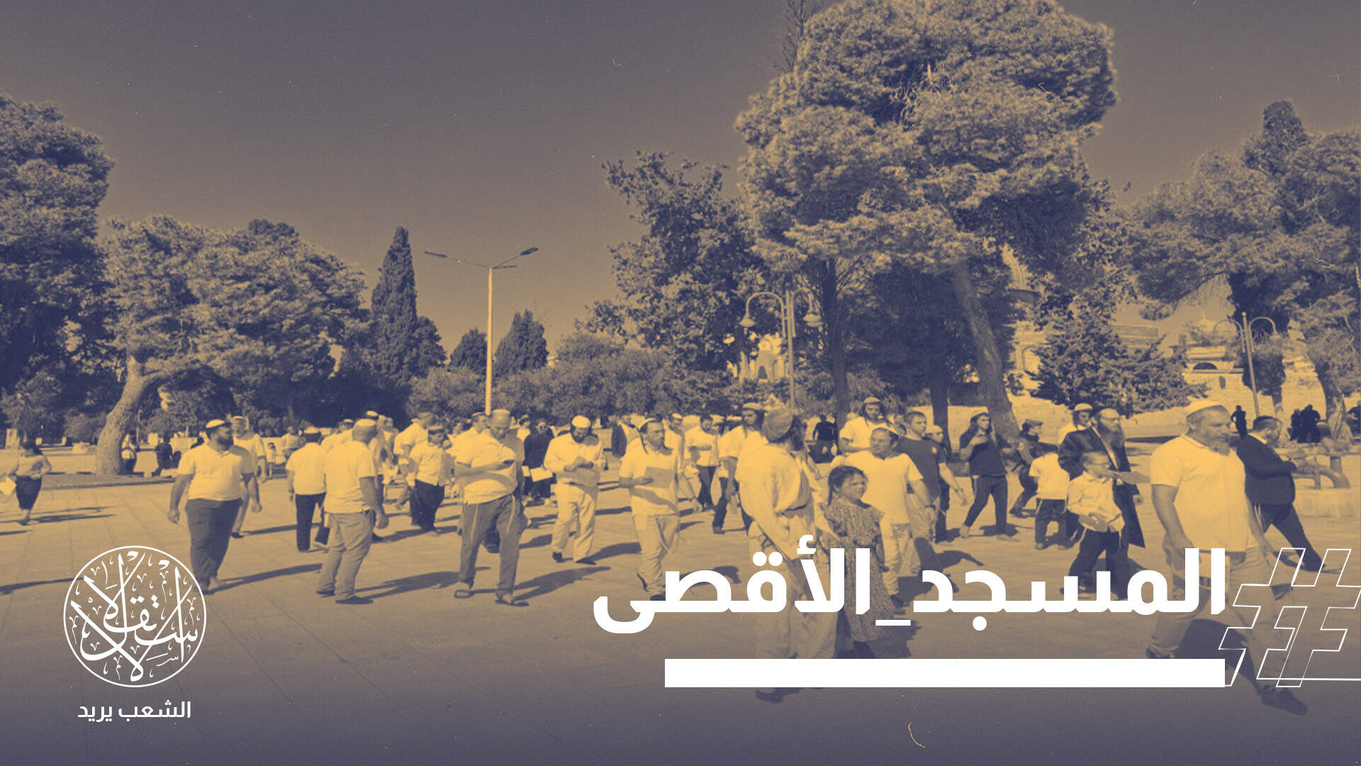 عشرات المستوطنين يدنسون الأقصى تحت حماية الاحتلال تزامنًا مع عدوان على الضفة وغزة