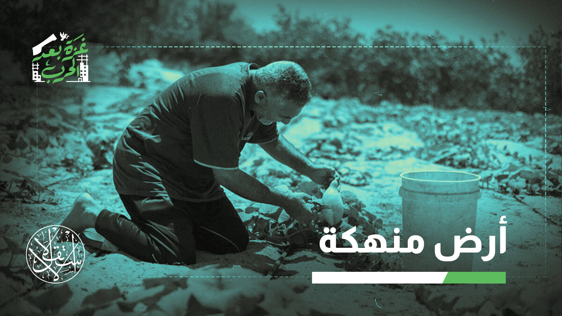 3 بالمئة فقط من الأراضي سليمة ومتاحة.. ما الطريق إلى استعادة الزراعة في غزة؟
