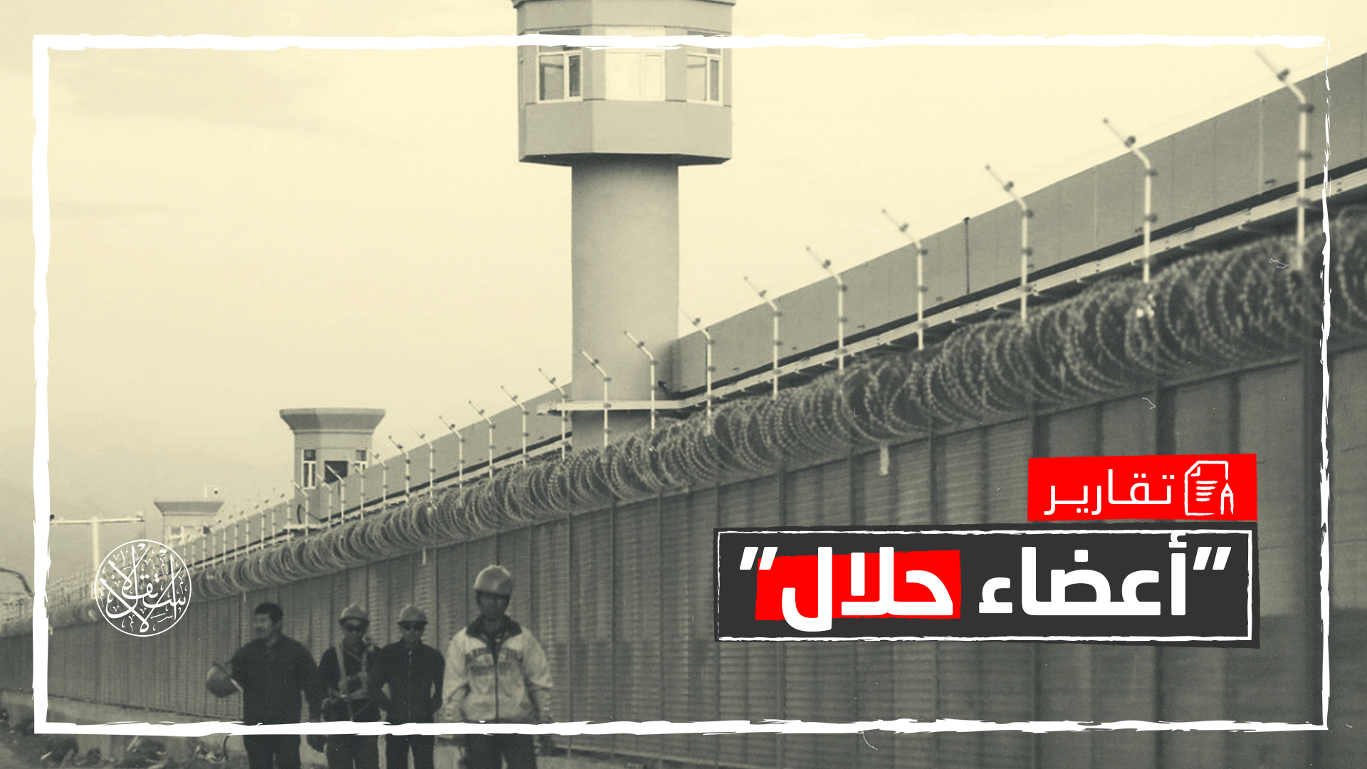 بتقطيع أجساد الإيجور.. كيف تجني الصين ملايين الدولارات سنويا؟