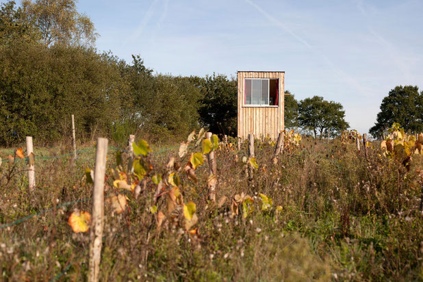 CAMERA OBSCURA 01-construction-autre-Vigneux-de-Bretagne