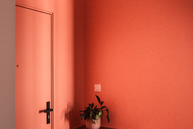 L'entrée-renovation-appartement-Villeurbanne