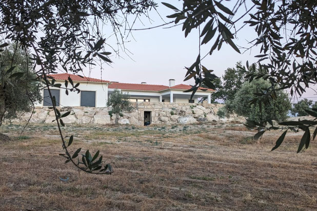 La maison dans les oliviers-construction-maison-Belmonte