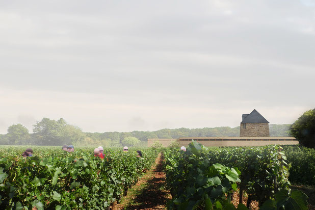 Vue du projet depuis les vignes-rehabilitation-local-Sarzeau