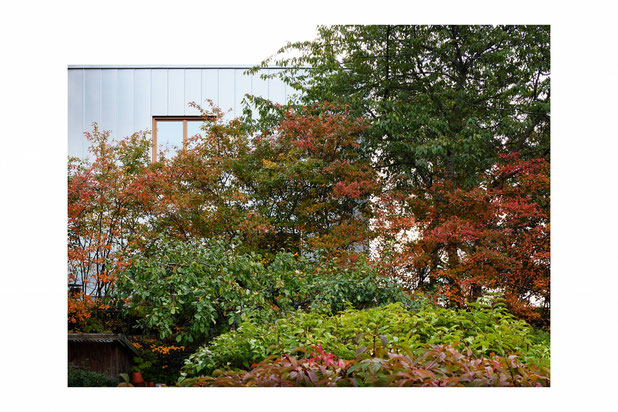 jardin-construction-maison-Lidingö