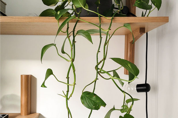 Détail étagères bois-renovation-appartement-Paris