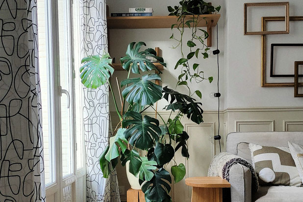 Salon jardin intérieur-renovation-appartement-Paris