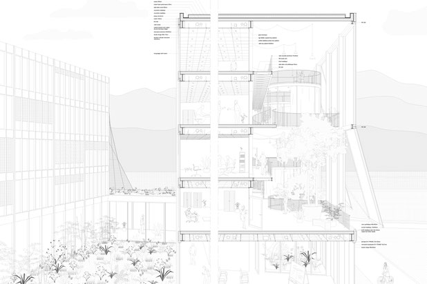 Coupe en perspective-construction-local-Muraz