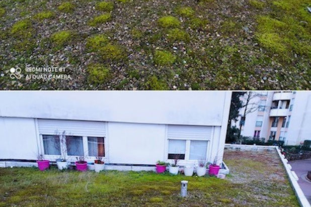 toiture existante-rehabilitation-equipement-Saint-Cloud