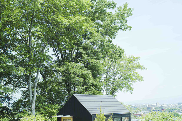 Cabane en hauteur-construction-espaces_exts-Takasaki