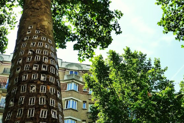 Arbres à louer-autre-espaces_exts-Paris