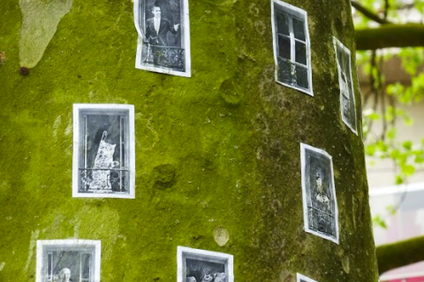 Arbres à louer-autre-espaces_exts-Paris