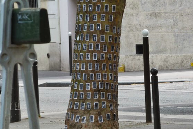 Arbres à louer-autre-espaces_exts-Paris