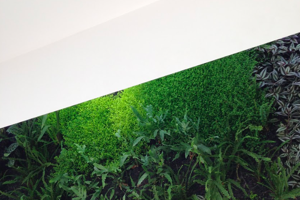 Jardin d'hiver-construction-logement-Tours