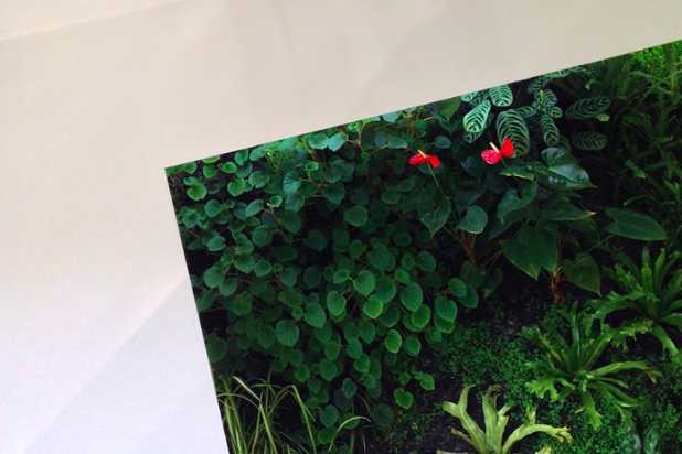 Jardin d'hiver-construction-logement-Tours