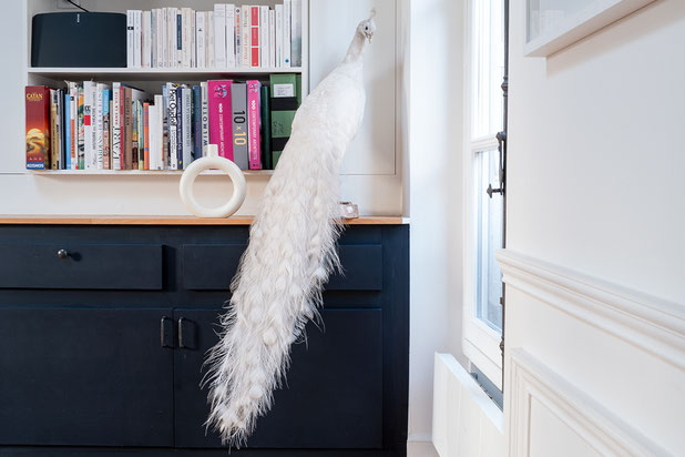 Détail du salon-rehabilitation-maison-Paris