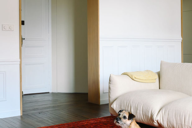 Le double séjour-renovation-appartement-Paris