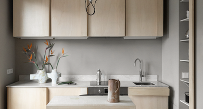 Photo d'un projet de Aménagement Appartement à Versailles