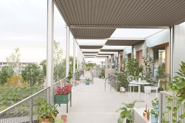 Coursive-construction-logement-Houilles