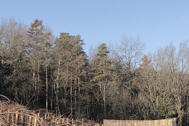 Hiver-construction-local-Vosne-Romanée
