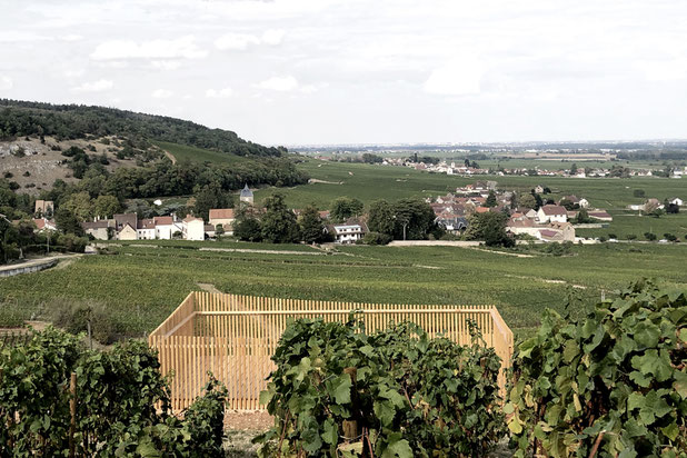 Vue-construction-local-Vosne-Romanée
