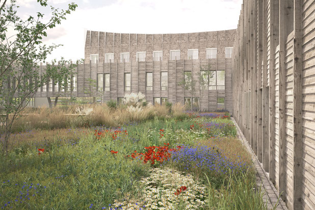 jardin-agrandissement_extension-bureaux-Saint-Lô
