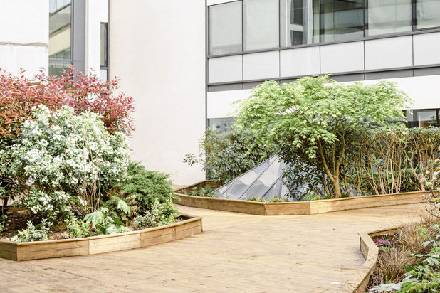 Patio et massifs-rehabilitation-bureaux-Montrouge