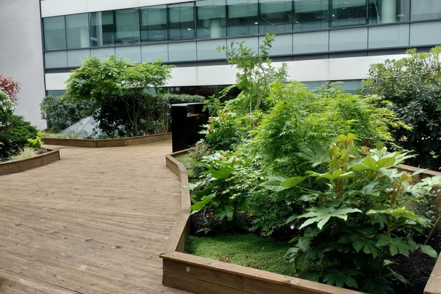 Patio et massifs-rehabilitation-bureaux-Montrouge