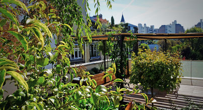 Photo d'un projet de Aménagement Aménagement extérieur à Paris