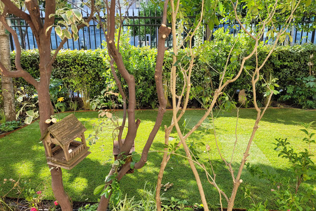 © Apis Florae, jardinet cocooning Issy-les-Moulineaux (3)-amenagement-maison-Issy-les-Moulineaux