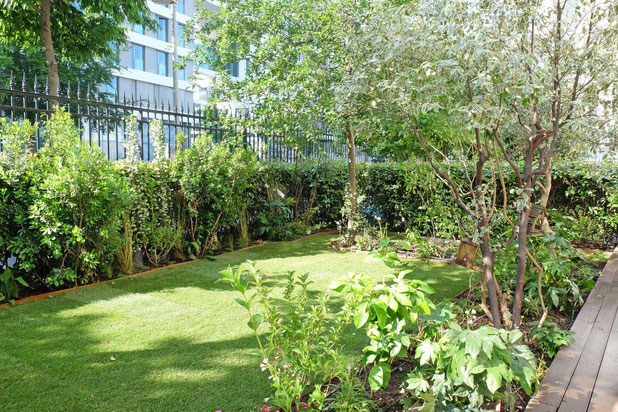 © Apis Florae, jardinet cocooning Issy-les-Moulineaux (7)-amenagement-maison-Issy-les-Moulineaux