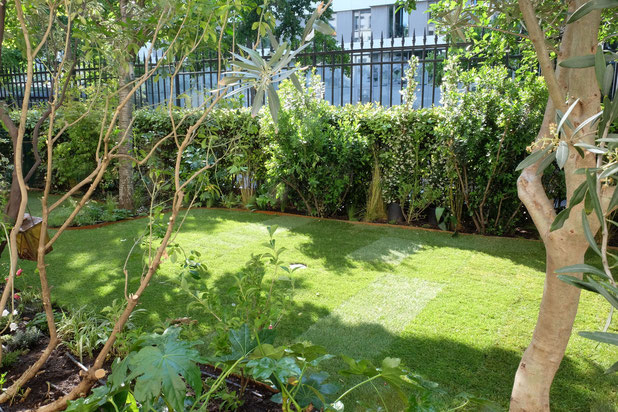 © Apis Florae, jardinet cocooning Issy-les-Moulineaux (8)-amenagement-maison-Issy-les-Moulineaux