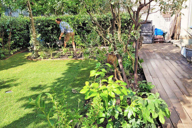 © Apis Florae, jardinet cocooning Issy-les-Moulineaux (5)-amenagement-maison-Issy-les-Moulineaux