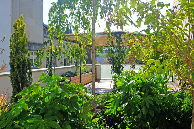 Vue pergola et végétation d'ensemble-amenagement-espaces_exts-Paris