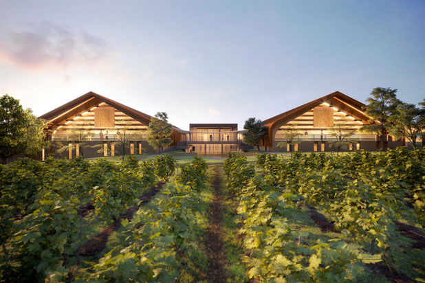 Vue depuis les Vignes-construction-autre-Ambonnay