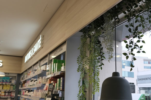 Vitrine pharmacie-renovation-boutique_local-Antony