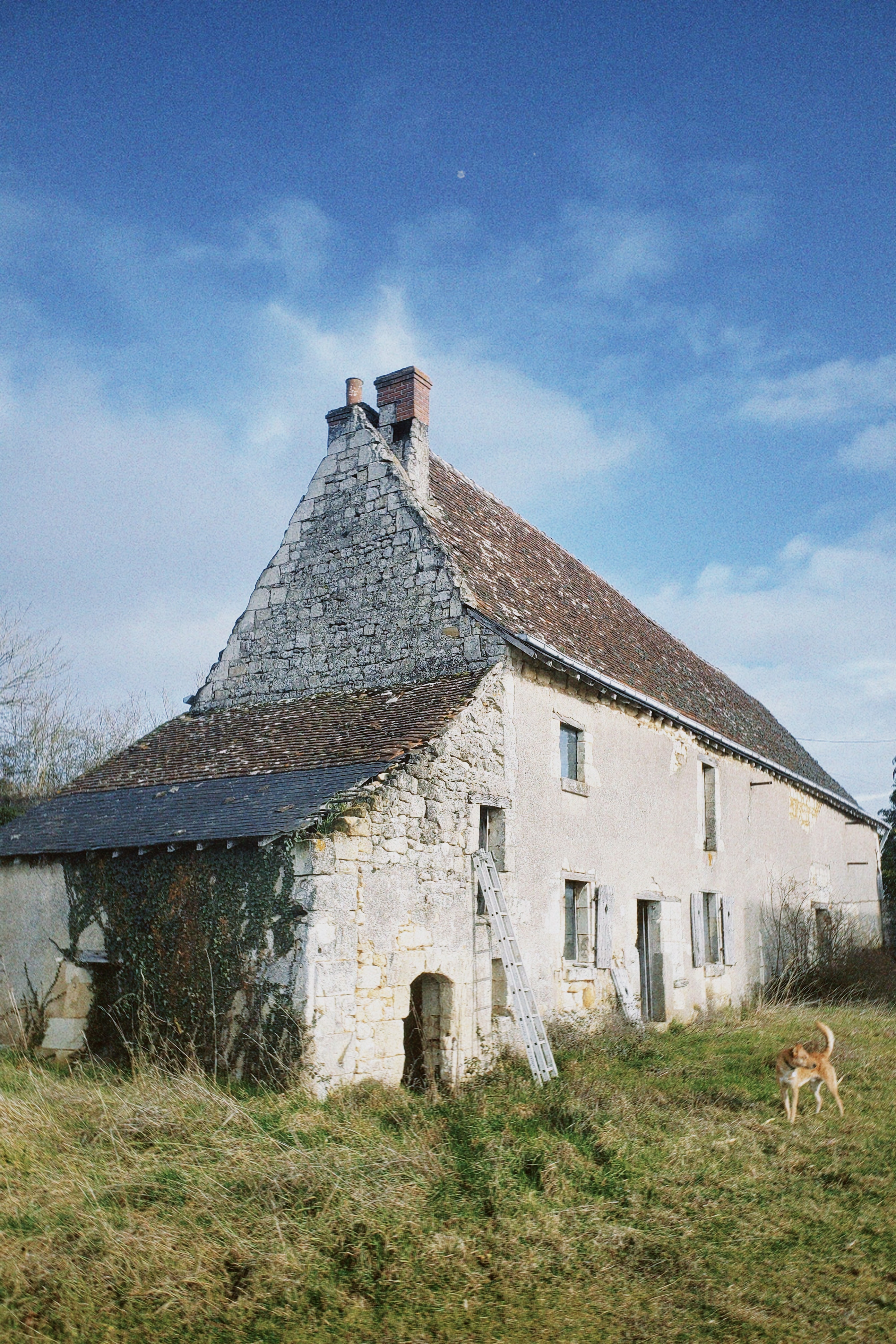 Réhabilitation d’un bâti ancien, en maison atelier – rénovation de maison Indre-et-Loire