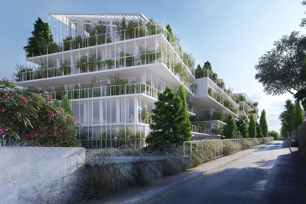 végétation dense-construction-logement-Sète