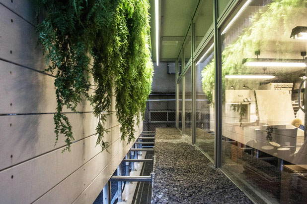 Liberté - Tokyo-renovation-cafe_restaurant-Paris