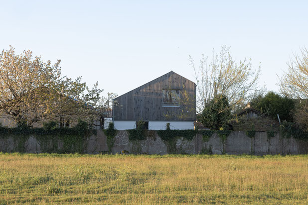 Vue sur le parc-construction-maison-Bègles