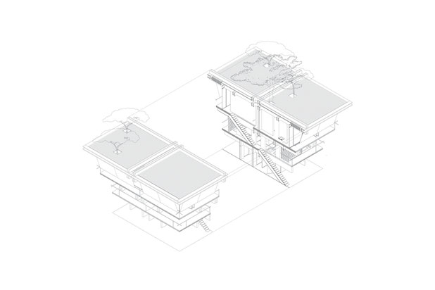 Végétation-construction-maison-Biscarrosse