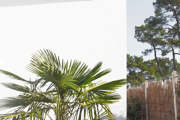 Jardin-rehabilitation-maison-La Tranche-sur-Mer
